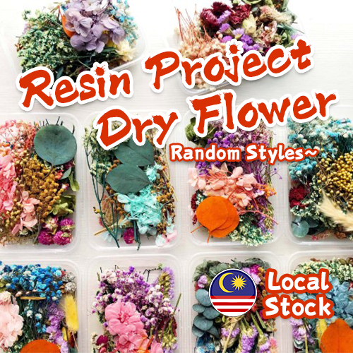 Everlasting dry flower for epoxy resin project real pressed leaf natural for soap candle dry baby breath floral decors