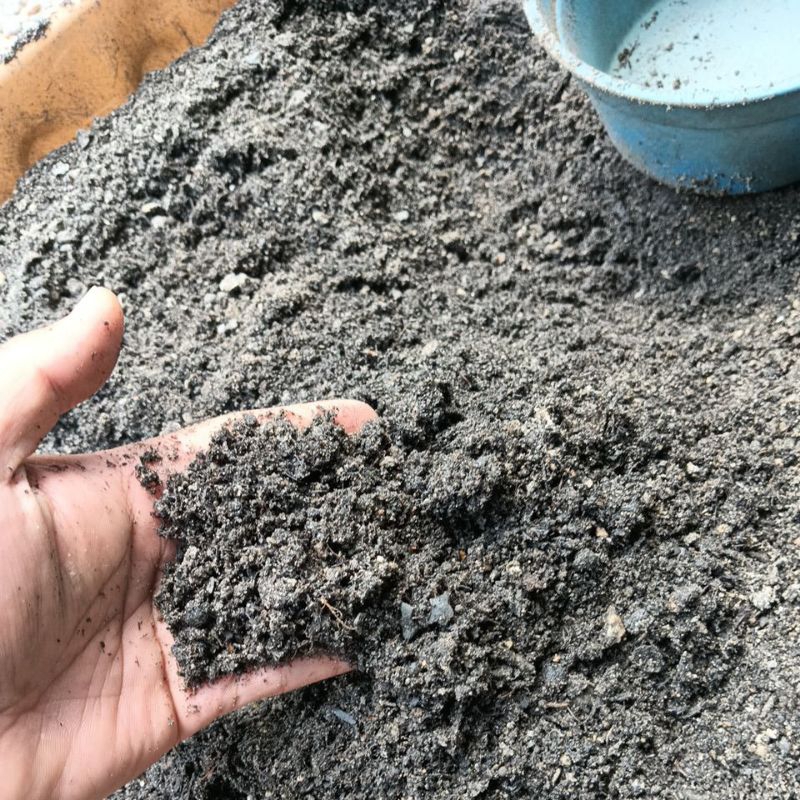 Tanah sawit bakar 1kg/palm oil boiler ash ready stock