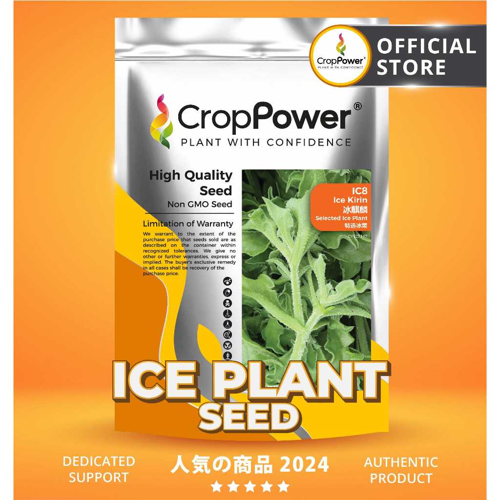 (5000 SEEDS) Biji Benih Ice Plant Ice Kirin 冰麒麟 IC8 CROP POWER Ice Plant seeds 冰菜种子 IC 8