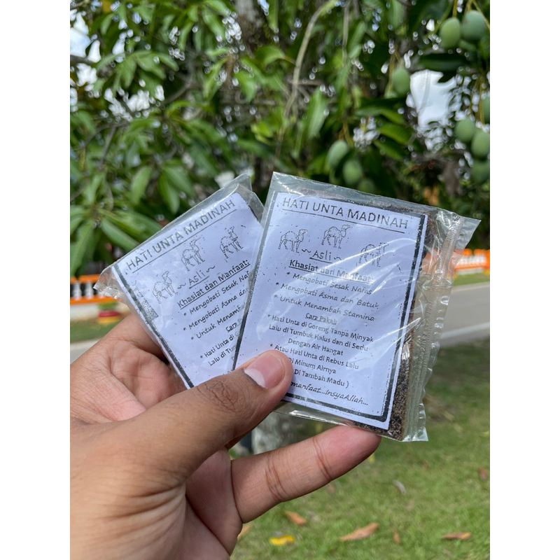 3 KEPING (HATI UNTA KERING ORIGINAL SAUDI ARABI)