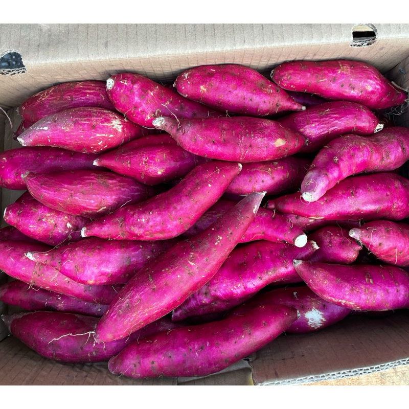 IMPORTED Premium Purple Sweet Potatoes