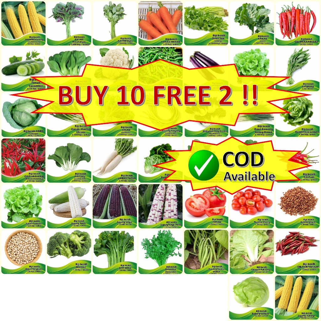 Biji Benih Sayur-Sayuran Hijau ekonomi - vegetable seed economy seeds