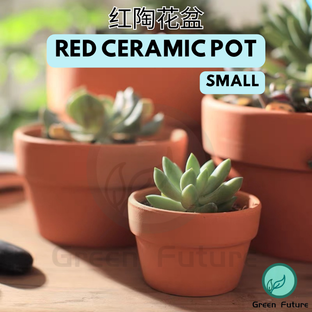 【6 SIZE SMALL SERIOUS】 RED POTTERY CLAY POT SUCCULENT FLOWER POT 红陶盆 红陶 多肉植物陶瓷花盆 多肉花盆 花盆 陶瓷花盆 植物花盆 red caremic po