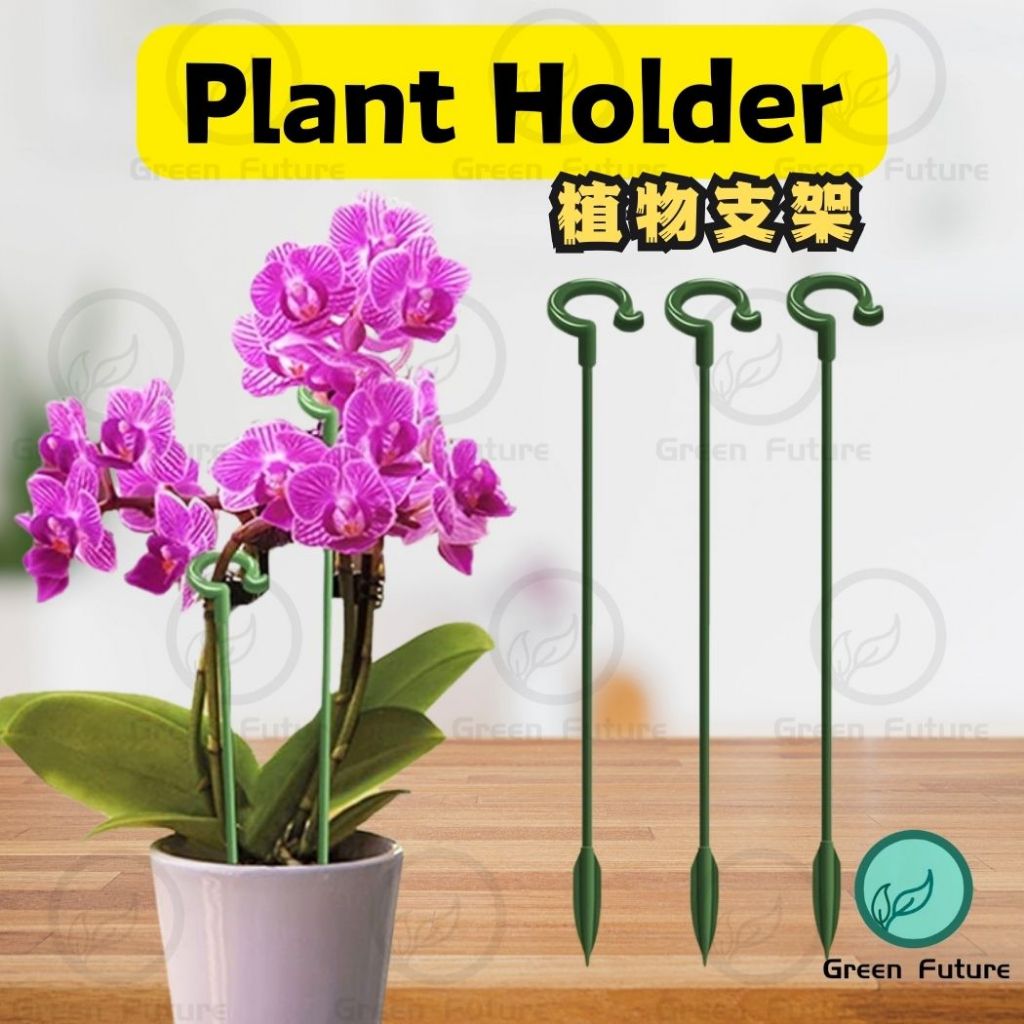Phalaenopsis fleshy holder flower stand bracket plant 支架 植物支架 植物支撑 植物防倒支架 蝴蝶兰支架 固定植物 蝴蝶兰 多肉专用花架 支架植物 造型支撑杆 固定防倒伏护叶架