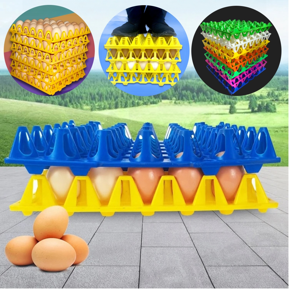 Plastic Egg Tray / Egg Storage 30 Pcs / Dulang Telur Plastik Papan Sarang Telur Plastik