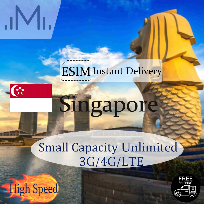 MicroEsim Singapore eSIM data small capacity wide variety of data options Ideal for low traffic demand