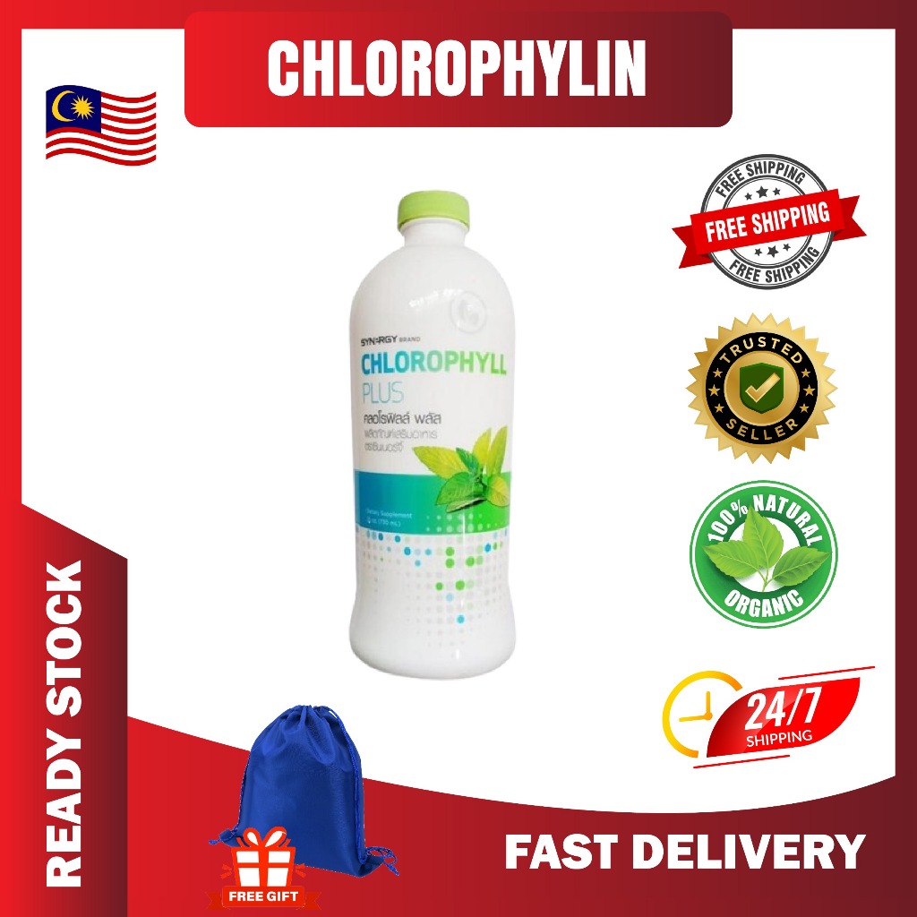 【ORIGINAL】SYNERGY CHLOROPHYLLIN PLUS | Liquid Chlorophyll 25oz (730ml)