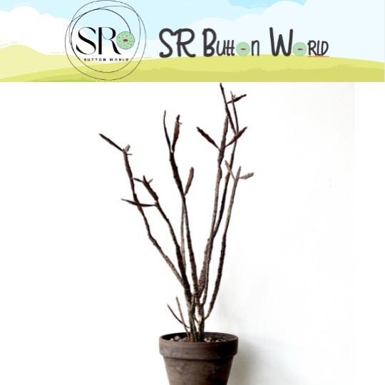 Euphorbia Platyclade 'Dead Plant' 扁平麒麟 (H8-10 cm+-) Randomly pick by seller