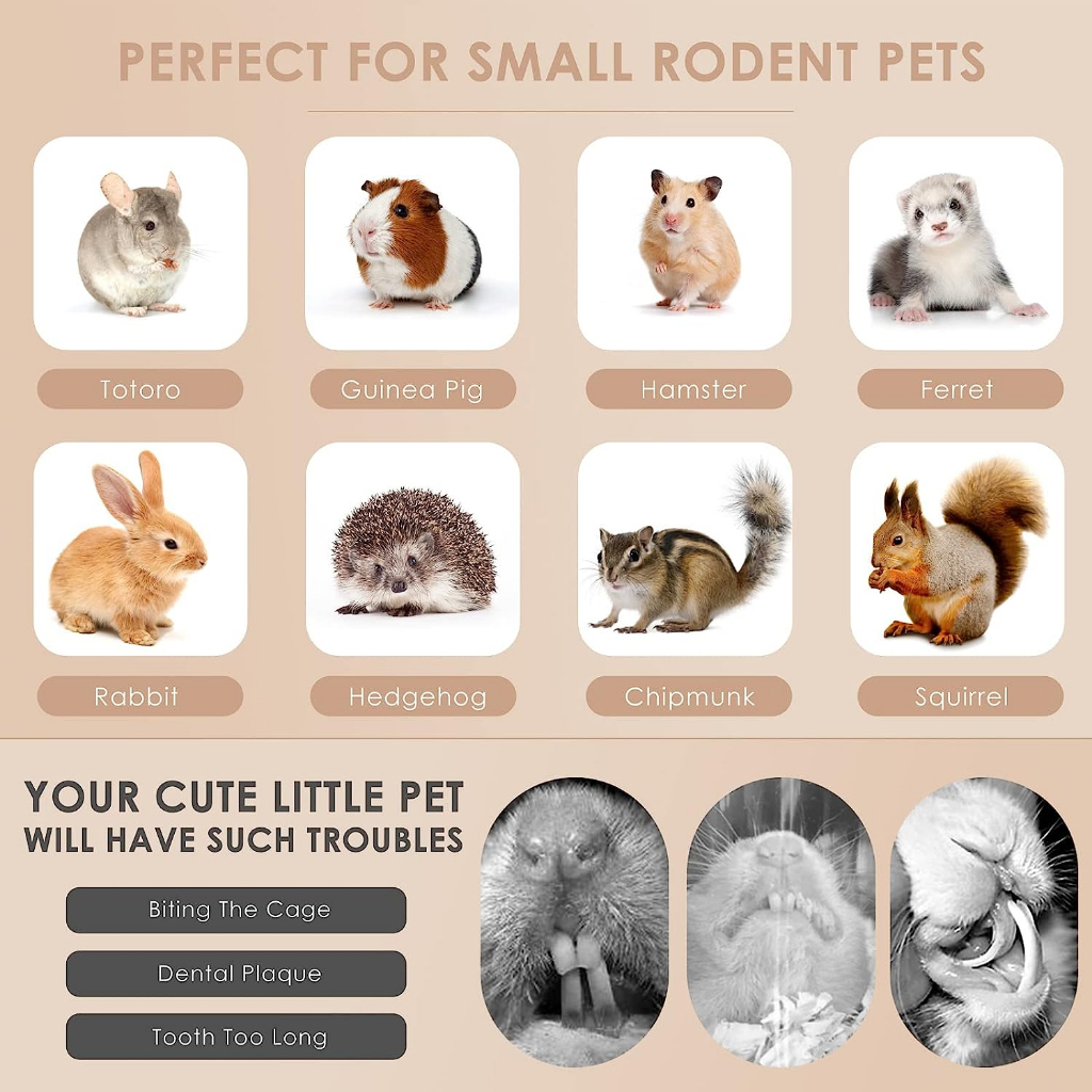 FRESH Apple Stick Branch - Hamster Chew Toy Wood Treat Rabbit Molar Guinea Pigs Chinchilla Small Animal 仓鼠兔子豚鼠磨牙苹果枝零食