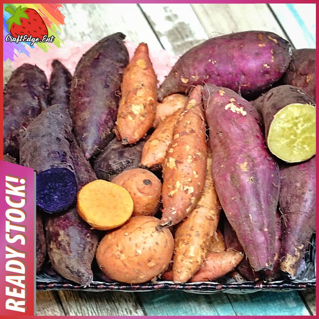 [RESTOCK!!!] UBI KELEDEK MADU CAMERON HIGHLANDS / SWEET POTATO [ KUNING | PURPLE | OREN ] RANDOM SIZE FRESH