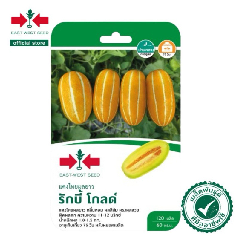 120Biji Benih Timun Betik Emas Ragbi / Timun Suri /Tembikai Susu Emas / East West Seed / Cap Panah Merah