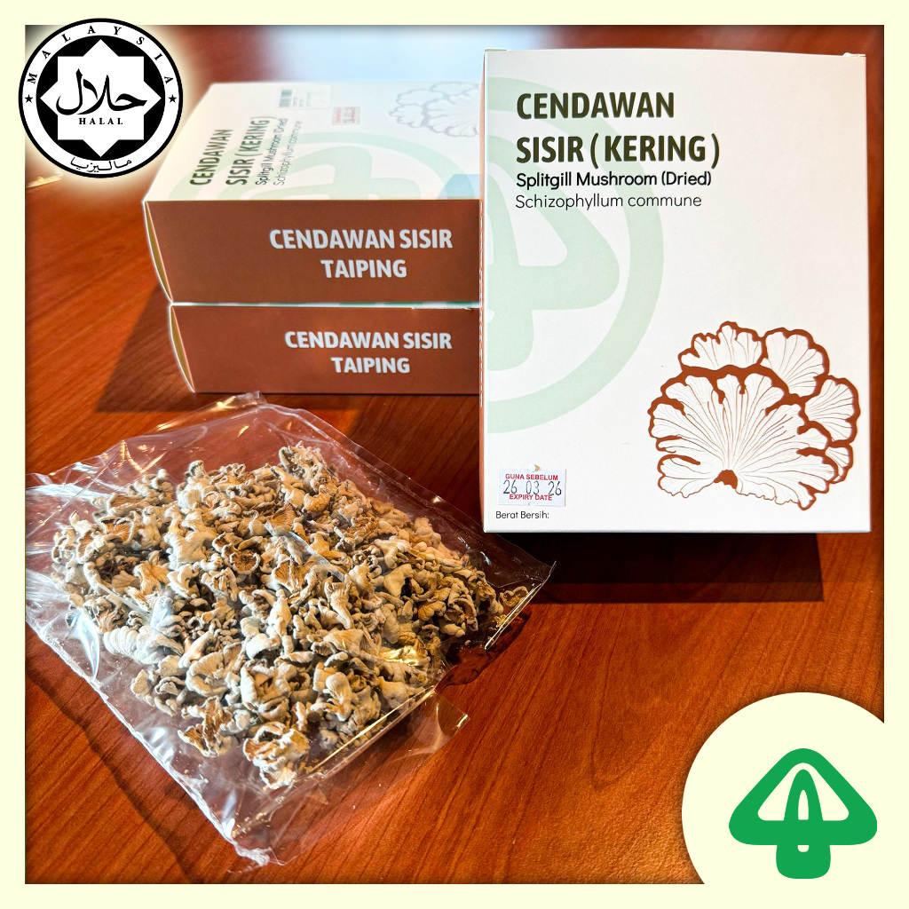 [Halal - Buatan Malaysia] Dried Organic Splitgill Mushroom / Cendawan Sisir Kering Organik (50g)