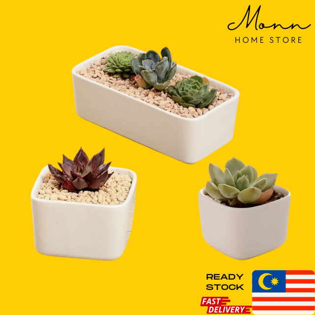 [READY STOCK] MONN White Square & Rectangle Handmade Ceramic Pot for Succulent Plants & Flowers | Pasu Seramik Putih
