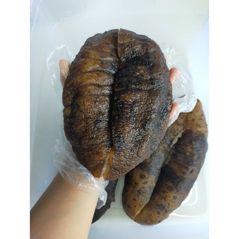 海参 sea ​​cucumber 猪婆参湿货泡发好的品质好口感Q弹