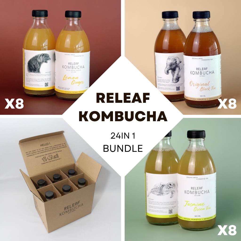 Releaf Kombucha All Flavors 24 in1 Bundle [3 Flavors x 8 Bottles]