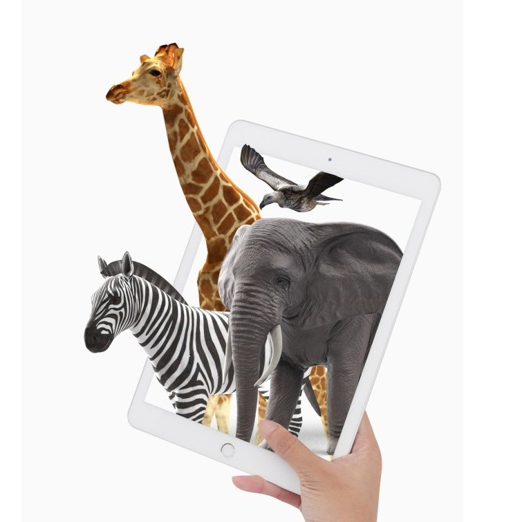 Octagon Studio Wildlife Wonders: Explore The Animal 4D+ Flashcards App for an Interactive Adventure!