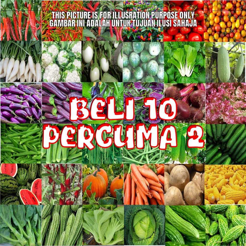 Pilihan Benih Sayur & Buah Pek Kecil / Sawi Betik Tembikai Petola Peria Ketumbar Daun Sup Bendi Kacang Jagung