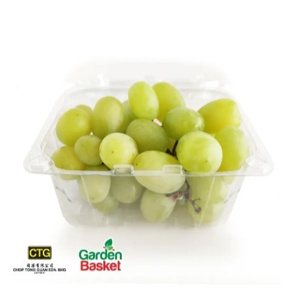 CTG Spain Moyca Cotton Candy Seedless Grape 500g - [Super Sweet] [SEASONAL] [Vitamin] [healthy food] - Garden Basket