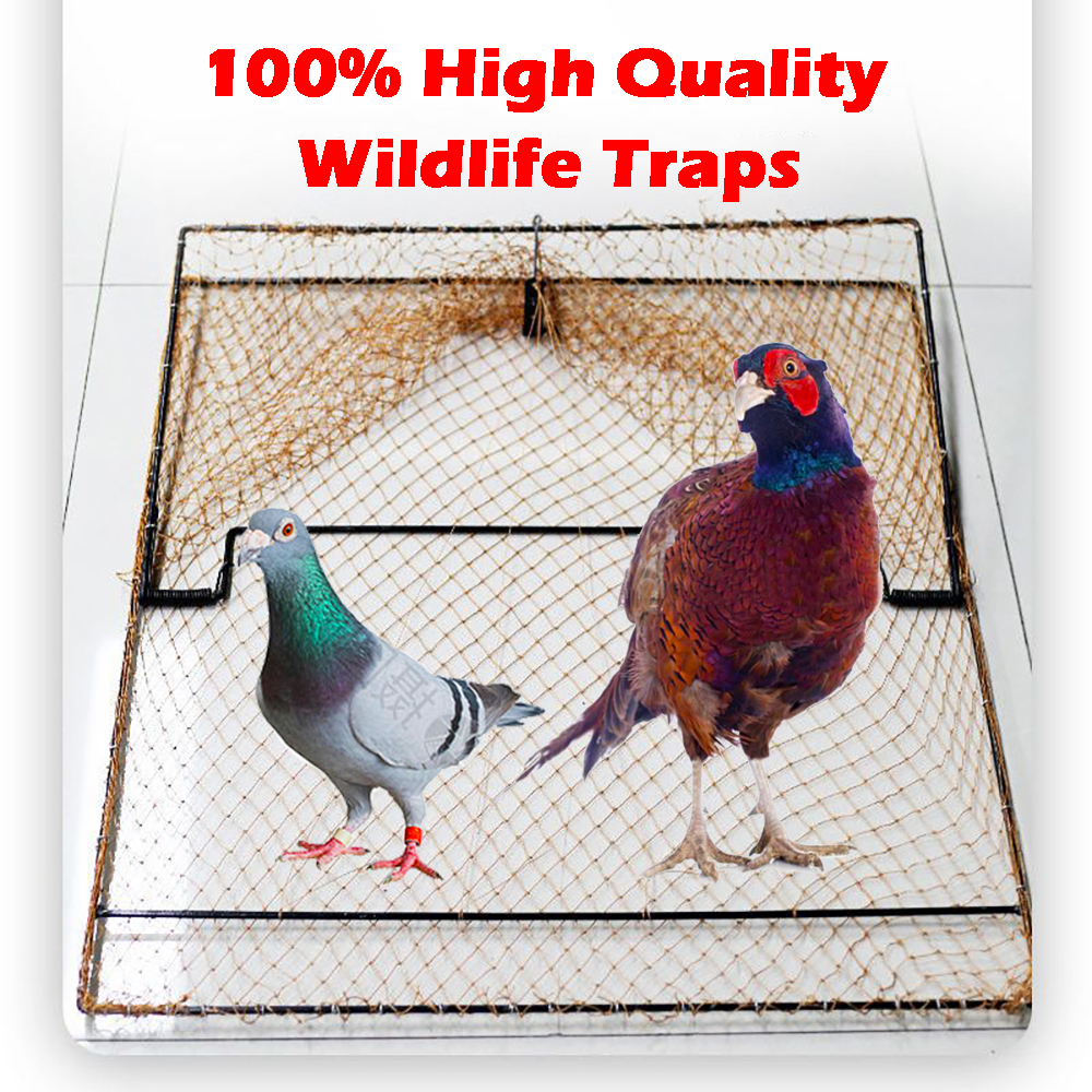 HOT70CM *80CM Chicken Trap Bird Trap Wildlife Traps Metal Trap Hunting Net 100% High Quality