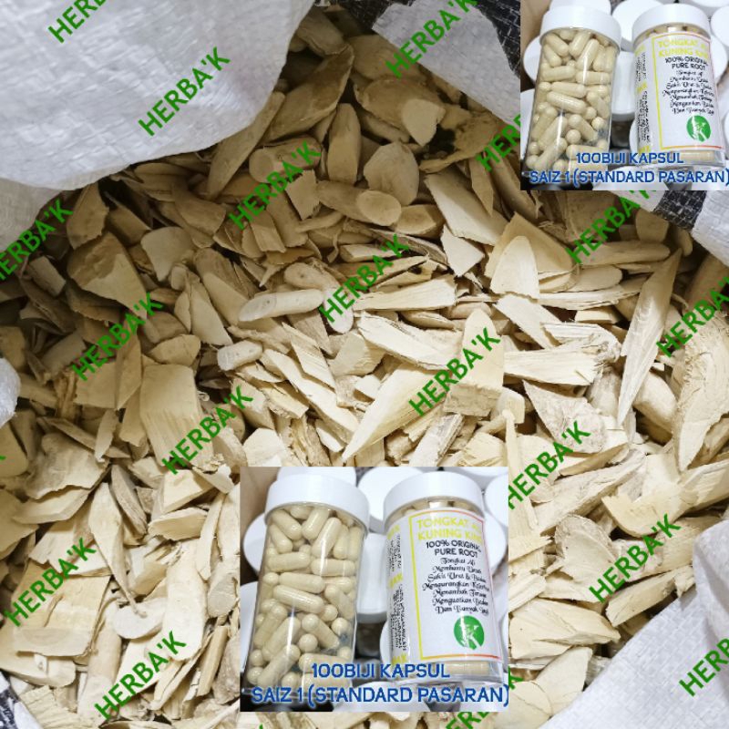 Tongkat Ali Kuning / Original / PASAK BUMI