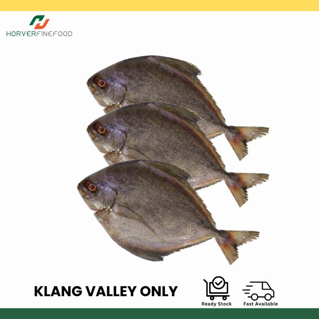 [Frozen] Black Pomfret ±1KG/SET (3PCS) 黑鲳鱼 [KLANG VALLEY ONLY]