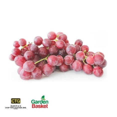 CTG China Crimson Red Grape Grape 500G -[Vitamins] [fresh] [seedless][sweet][antioxidants] - Garden Basket