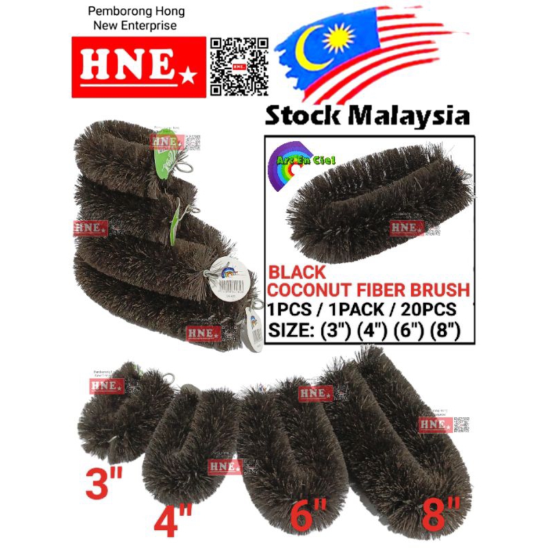 Berus Siput / Berus Hitam / Berus Coklat / Berus Tiger / Berus Coconut Cleaning