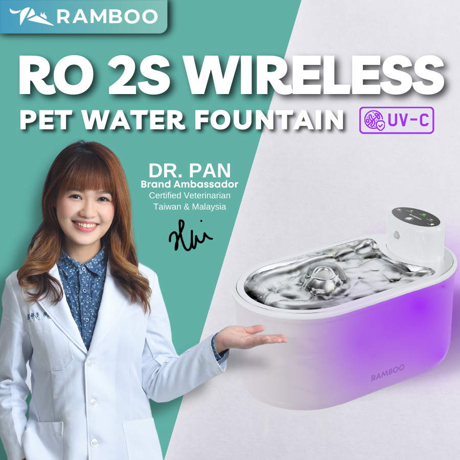 RAMBOO PET®️ RO2S Wireless Smart Pet Water Fountain / UV-C Sterilization & Automatic Sensor / Dog Cat Water Dispenser