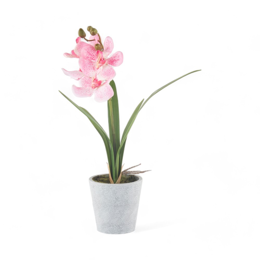 SSFHome - Artificial Potted Vanda 40cm Home Living Decor Cafe Restaurant Offices