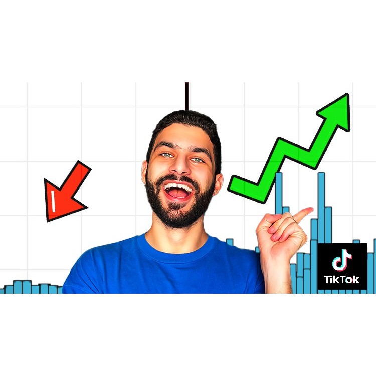 (VIDEO COURSE) TikTok Marketing Masterclass in 2024