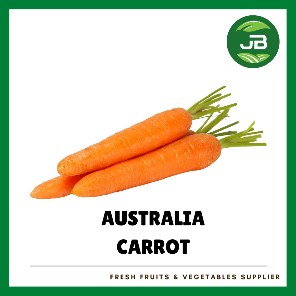 Fresh Australia Carrot 澳洲红萝卜 1 PKT 500g+/-