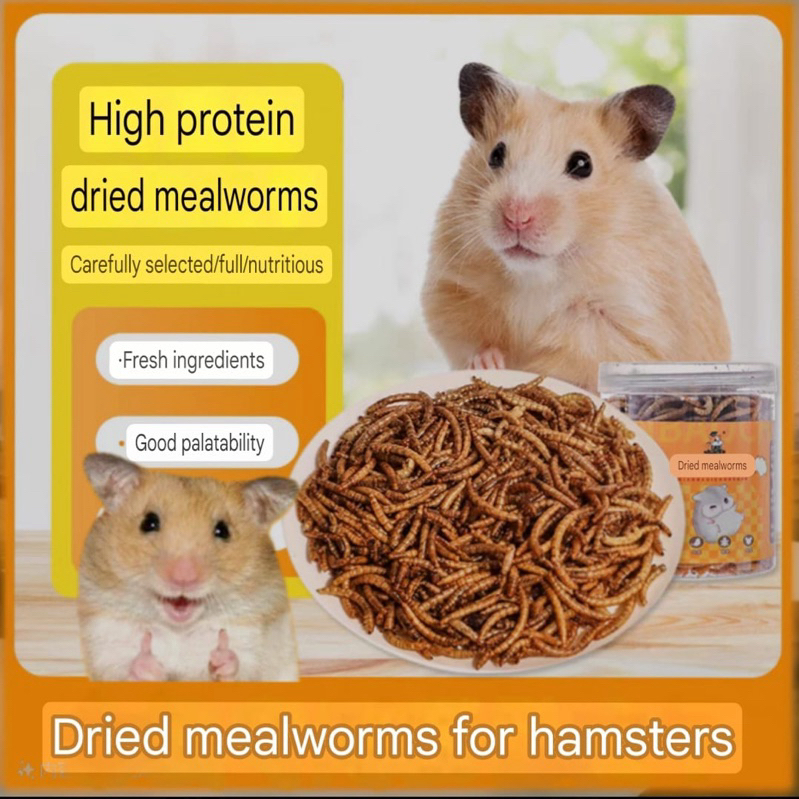 Dried Mealworm Protein food Mealworm Non-GMO Treats Hedgehog Sugar Glider Hamster Snack Bird Hedgehog Chicken