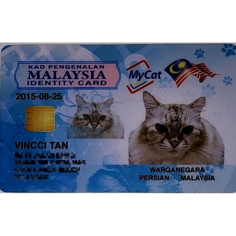 KAMI Merchandise - MyPet Custom Card MyCat MyDog MyPanda