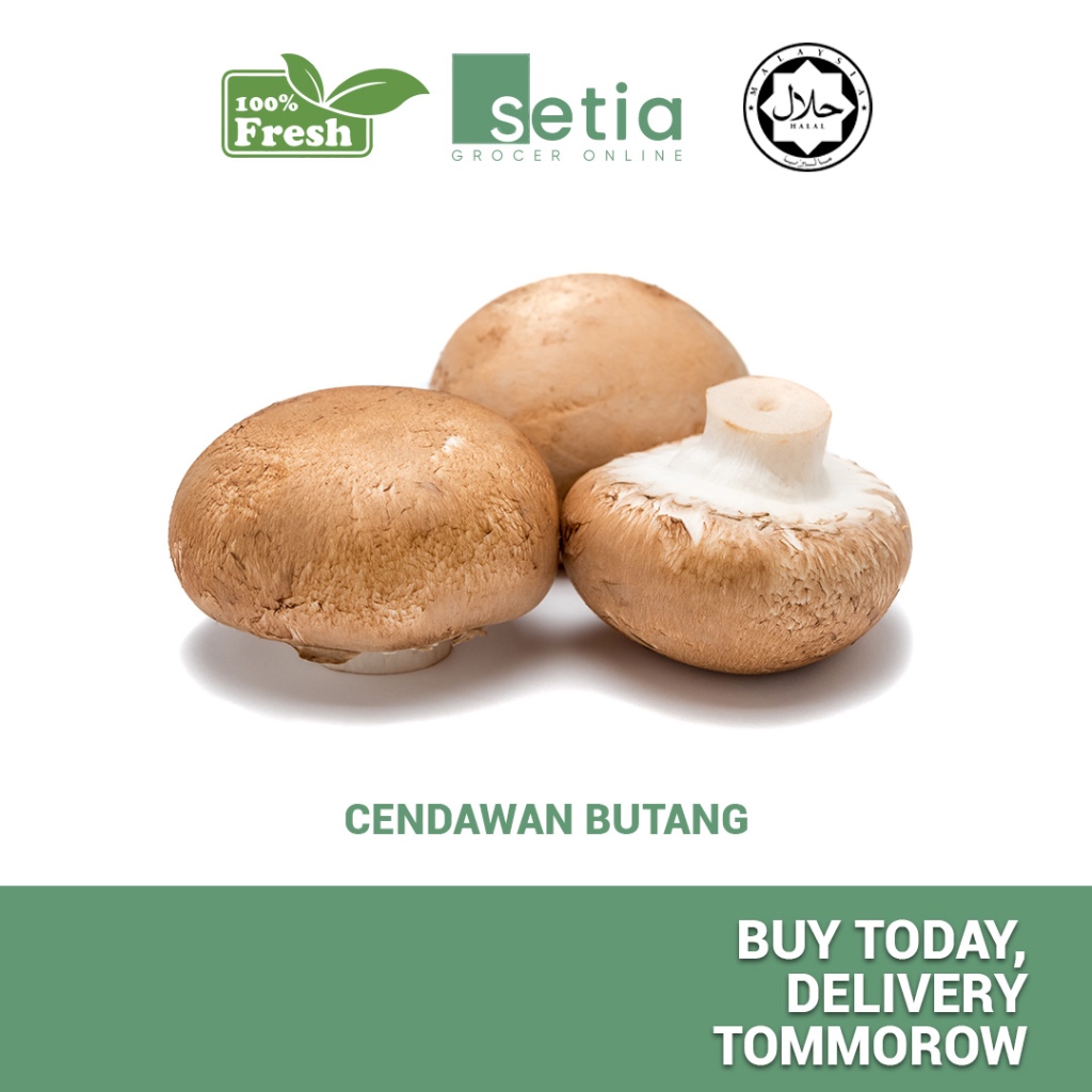 Champ Fungi White Button Mushroom / Cendawan Butang Putih (150 gram)