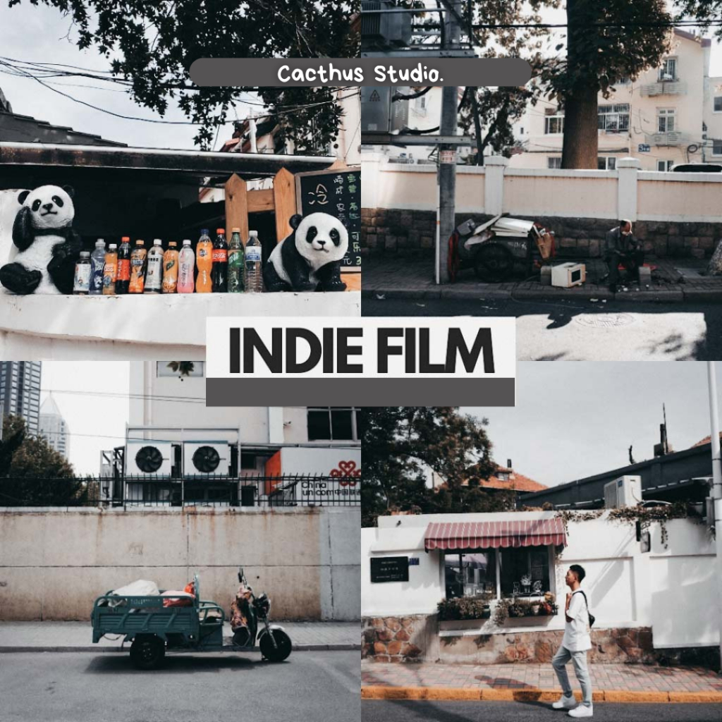 Indie Film | Lightroom Mobile Preset (iOS & Android)