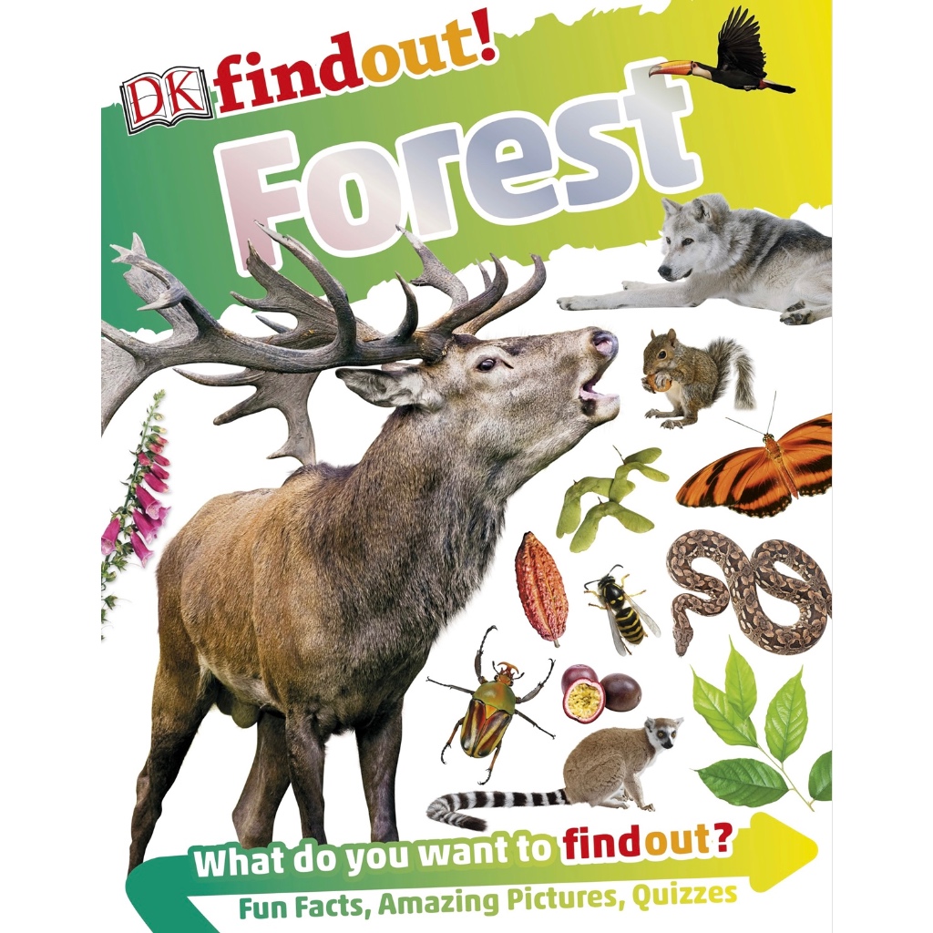 (eBook PDF) DKfindout! Forest
