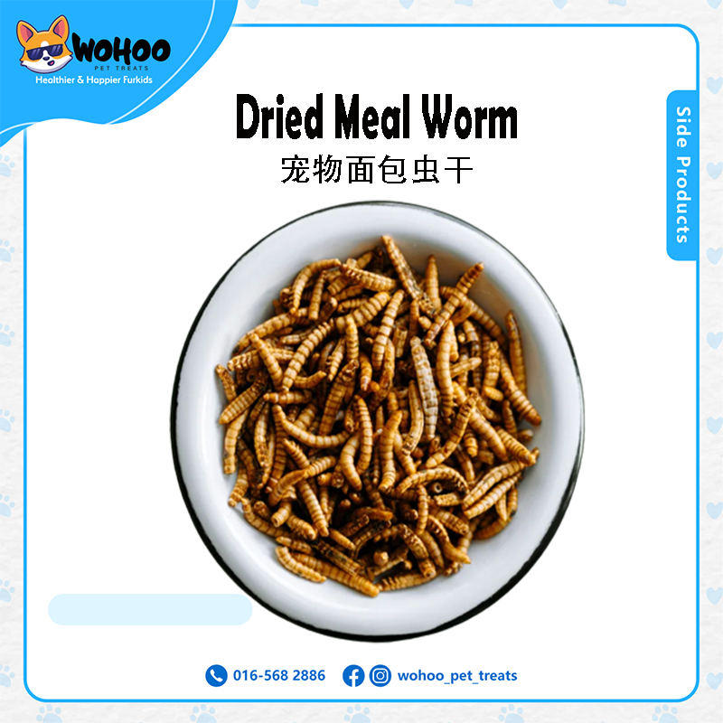 [50/100g]Dried MealWorm for Fish,Bird,Hamster,Reptiles,Hedgehog,Frog,Chicken 干面包虫 Cacing Roti