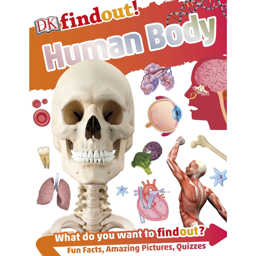 (eBook PDF) Dkfindout! Human Body
