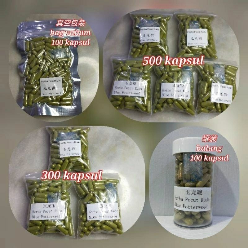 玉龙鞭 Selasih Dandi/Pecat Kuda