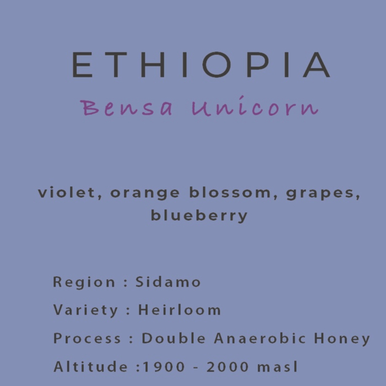 [Cold Blue Specialty Coffee] ETHIOPIA Bensa Unicorn - 200g Single Origin Filter Roasted Coffee Beans