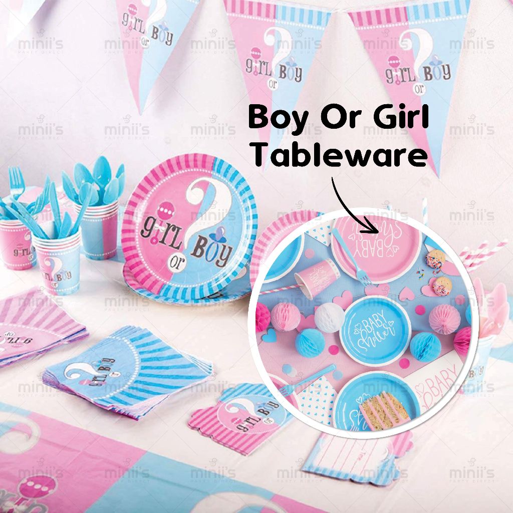 Miniis Blue Pink Boy or Girl Gender Reveal Party Supplies Decorations - Tableware Set with Paper Plates Cups Baby Shower