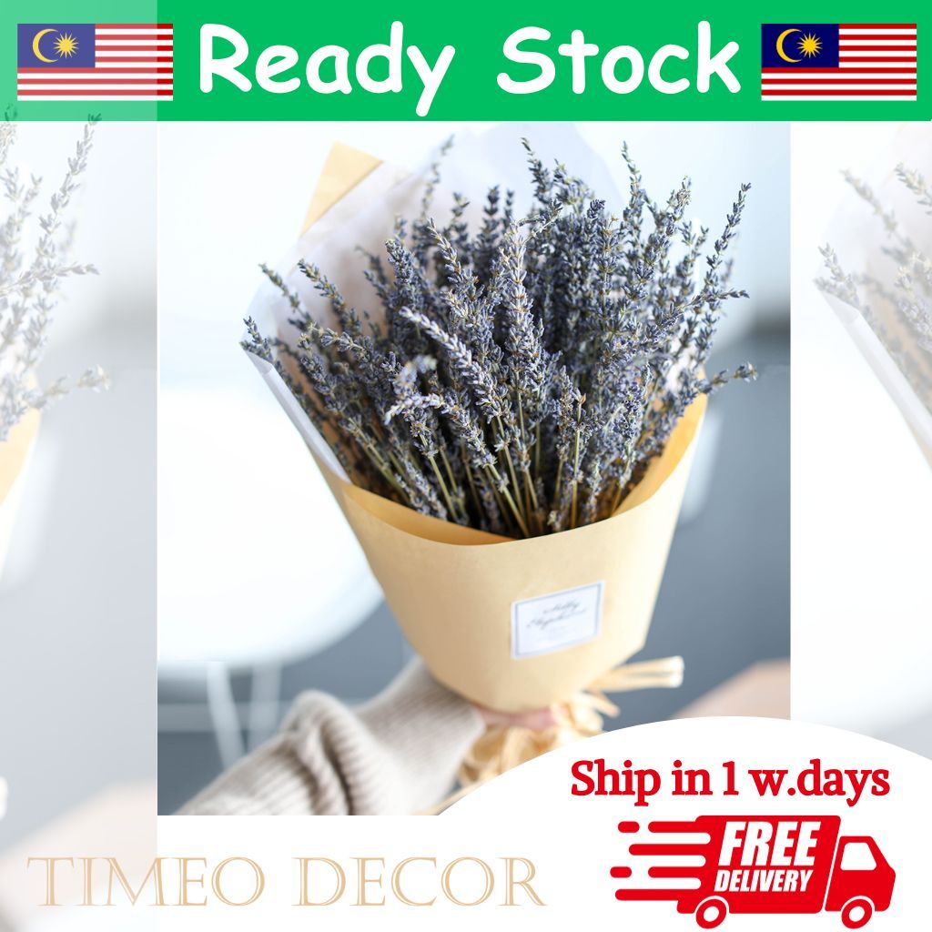 Real Lavendar Natural Dried Flower Ins Photo Props Bunga Kering Hiasan Rumah Home Decoration Vase Dry Flower 薰衣草干花花束