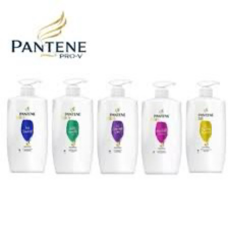 Pantene Pro-V Shampoo 480ml Anti-Dandruff/ Total Damage Care