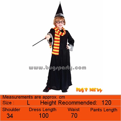 Wizard Magic Wand Accessories