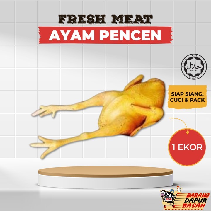 [DELIVERY 1 SEMENANJUNG] AYAM PENCEN 1 EKOR