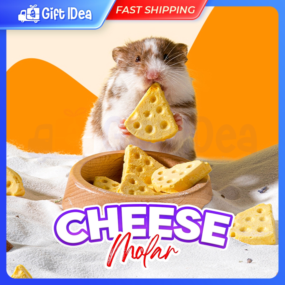Hamster Cheese Molar Biscuit Molar Dog Cat Treats 仓鼠芝士奶酪塊冻干磨牙小零食