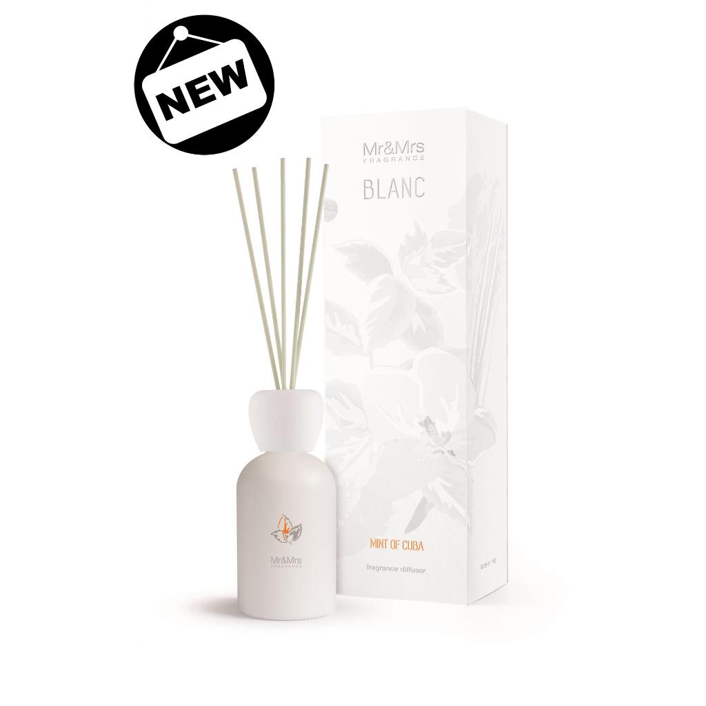 BLANC Reeds Fragrance Diffuser 250ml