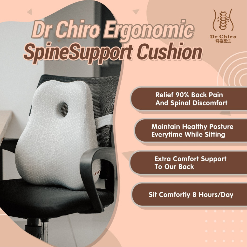 DrChiro - Comfort Spine & Lumbar Support Back Cushion 脊椎垫 腰垫 Kusyen - Ergonomic Memory Foam Back Pain Relief Cushion