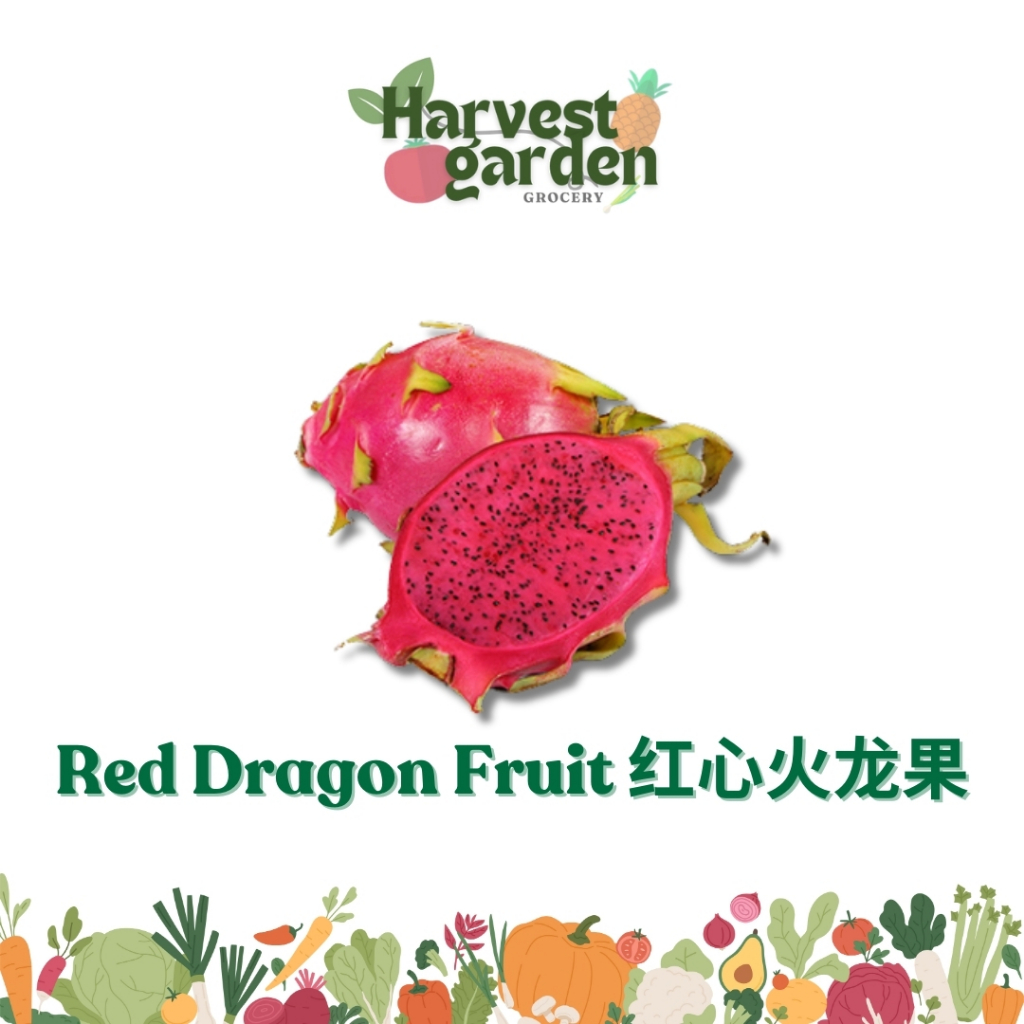 Red Dragon Fruit (AA) 红心火龙果 (AA) 3PCS / 5PCS (1.5kg± - 2.5kg±)