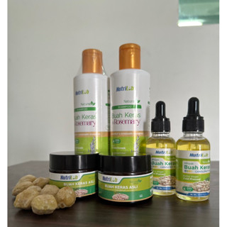?SET LENGKAP MINYAK BUAH KERAS+SHAMPOO BUAH KERAS ASLI UNTUK RAMBUT GUGUR,LEBATKAN RAMBUT.KELUMUMUR.KUATKAN AKAR RAMBUT